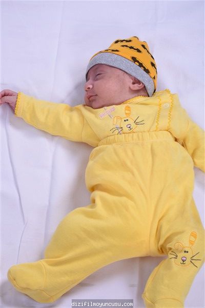 Bingöl Cast Ajans Rüzgar 60944