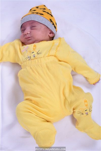 Bingöl Cast Ajans Rüzgar 60945
